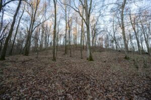 Property photo for land for sale in Jefferson County Mississippi
