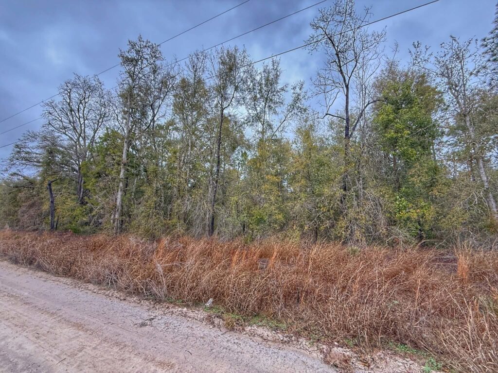 Property photo for land for sale in Gilchrist County Florida