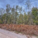 Property photo for land for sale in Gilchrist County Florida
