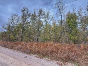 Property photo for land for sale in Gilchrist County Florida