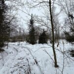 Property photo for land for sale in Pine County Minnesota
