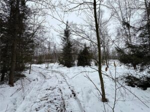 Property photo for land for sale in Pine County Minnesota