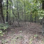 Property photo for land for sale in Boone County Arkansas