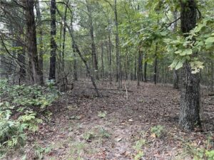 Property photo for land for sale in Boone County Arkansas