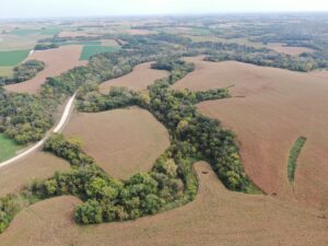 Property photo for land for sale in Wabasha County Minnesota