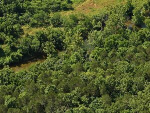 Property photo for land for sale in Ozark County Missouri