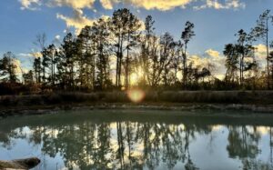 Property photo for land for sale in Hamilton County Florida