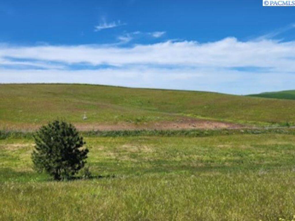 Property photo for land for sale in Whitman County Washington