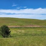 Property photo for land for sale in Whitman County Washington