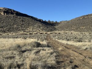 Property photo for land for sale in Harney County Oregon
