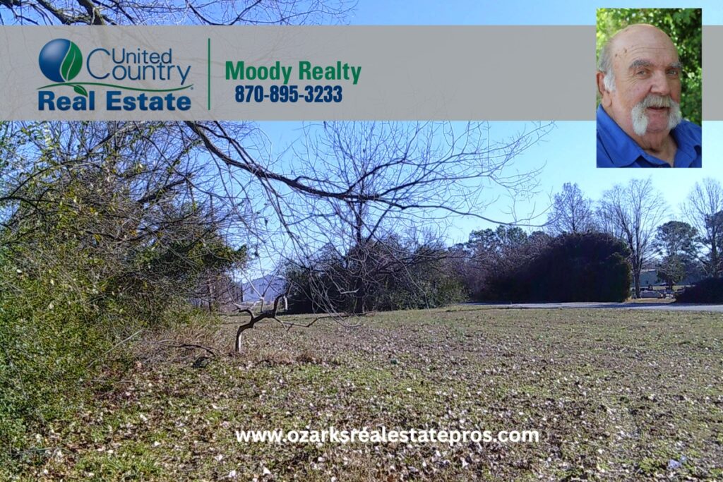 Property photo for land for sale in Mississippi County Arkansas