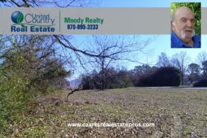 Property photo for land for sale in Mississippi County Arkansas