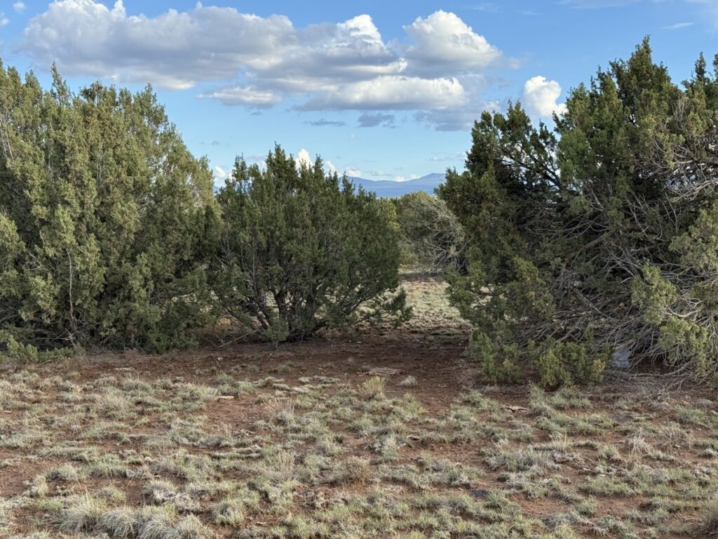 Property photo for land for sale in Apache County Arizona