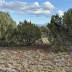 Property photo for land for sale in Apache County Arizona