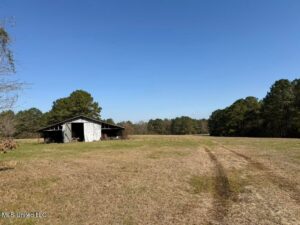 Property photo for land for sale in Walthall County Mississippi