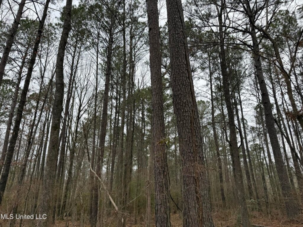 Property photo for land for sale in Rankin County Mississippi