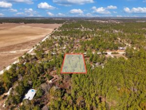 Property photo for land for sale in Levy County Florida