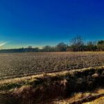 Property photo for land for sale in Hot Spring County Arkansas