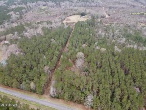Property photo for land for sale in Pike County Mississippi