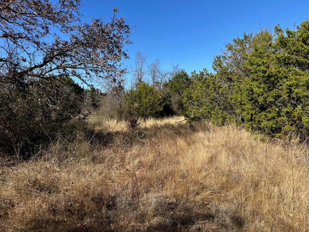 Property photo for land for sale in Brown County Texas