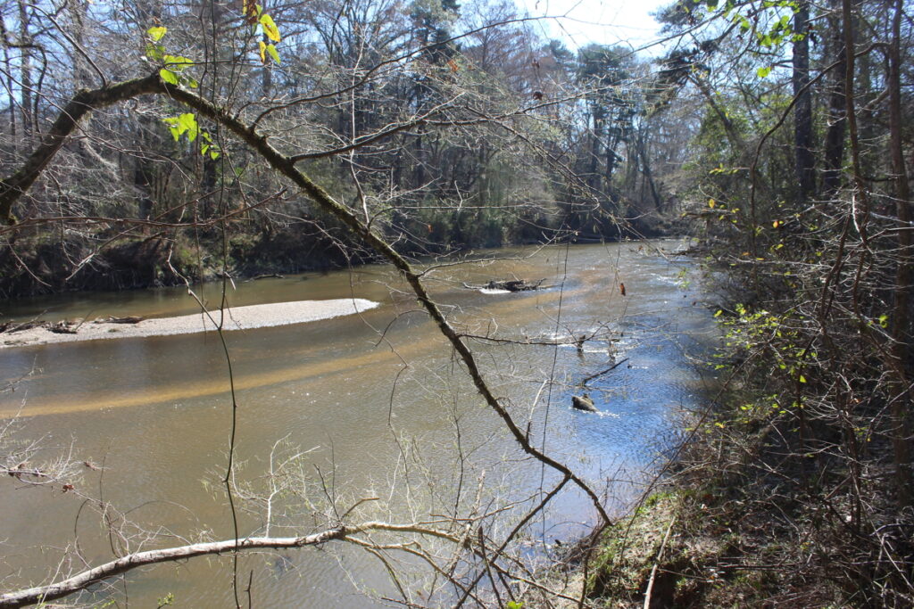 Property photo for land for sale in Pike County Mississippi