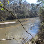 Property photo for land for sale in Pike County Mississippi