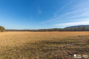 Property photo for land for sale in Polk County Arkansas