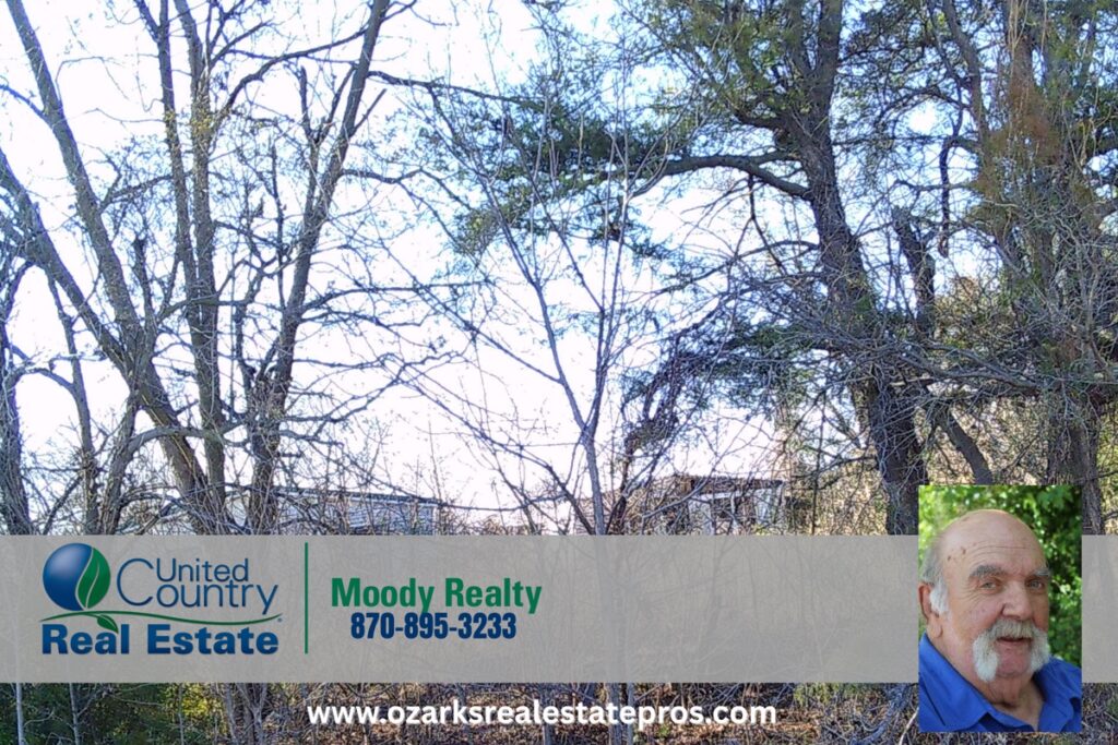 Property photo for land for sale in Mississippi County Arkansas