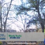 Property photo for land for sale in Mississippi County Arkansas