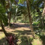 Property photo for land for sale in  County Panama