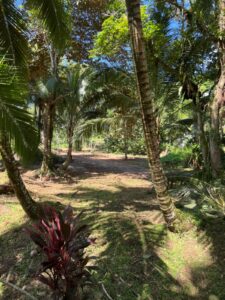 Property photo for land for sale in  County Panama