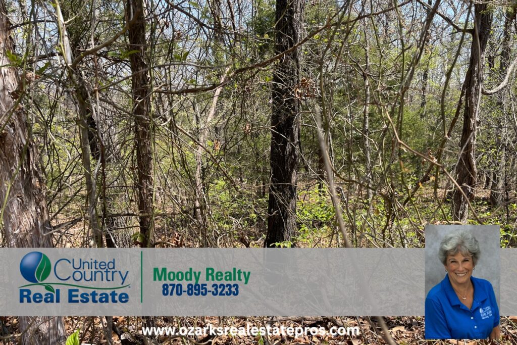 Property photo for land for sale in Izard County Arkansas