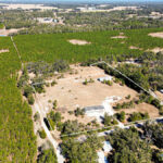 Property photo for land for sale in Dixie County Florida