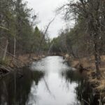 Property photo for land for sale in Juneau County Wisconsin