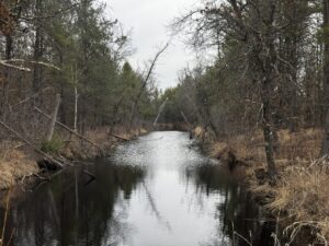 Property photo for land for sale in Juneau County Wisconsin