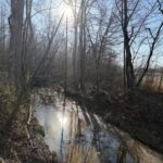 Property photo for land for sale in Hardin County Tennessee