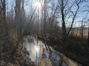 Property photo for land for sale in Hardin County Tennessee