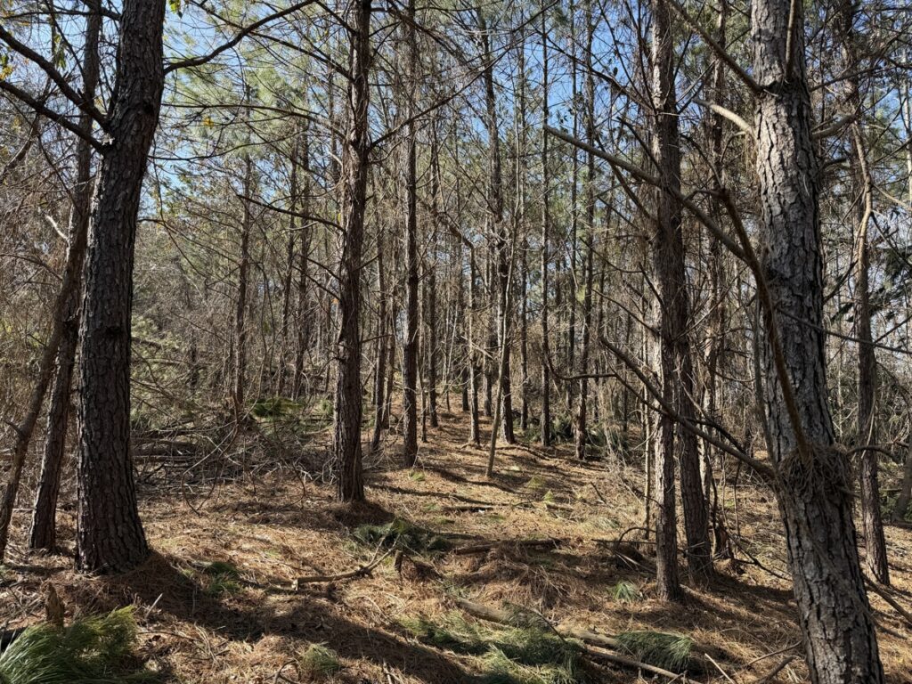 Property photo for land for sale in Hardin County Tennessee