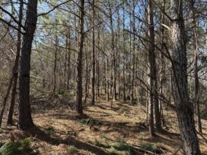 Property photo for land for sale in Hardin County Tennessee