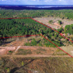 Property photo for land for sale in Harrison County Texas