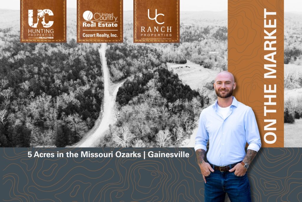 Property photo for land for sale in Ozark County Missouri