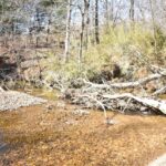 Property photo for land for sale in  County Tennessee