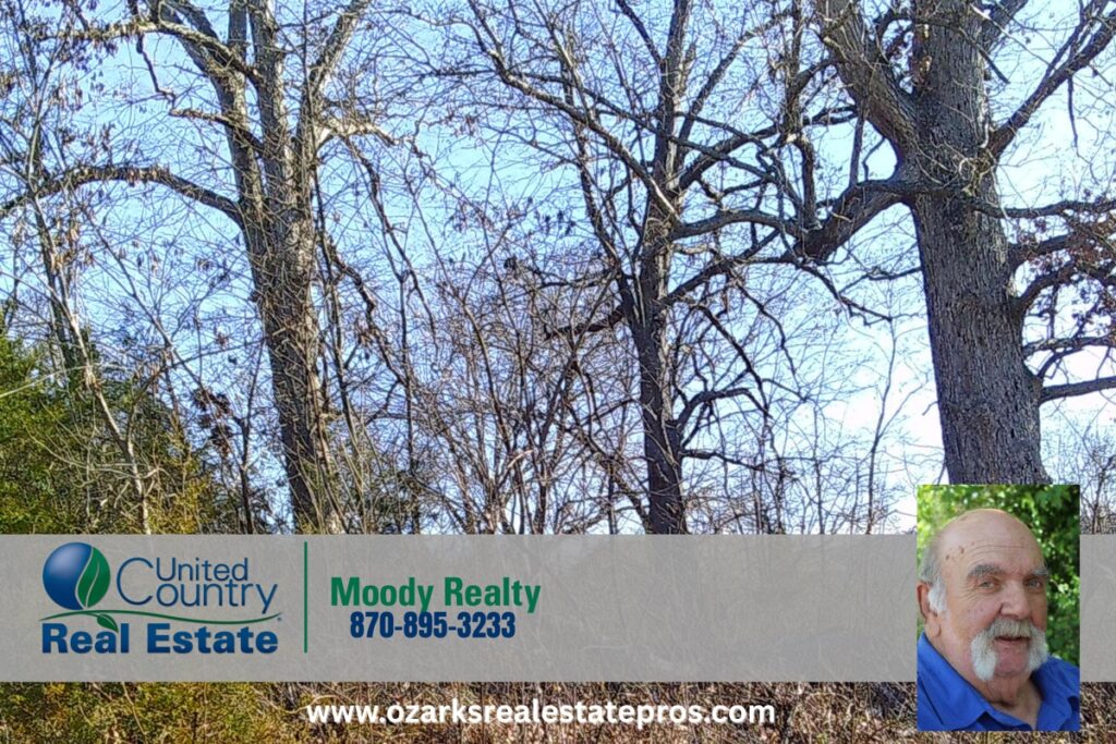 Property photo for land for sale in Sharp County Arkansas