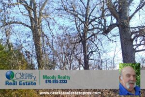 Property photo for land for sale in Sharp County Arkansas