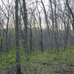 Property photo for land for sale in Clark County Missouri