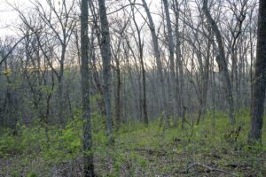 Property photo for land for sale in Clark County Missouri