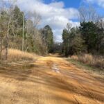 Property photo for land for sale in Copiah County Mississippi