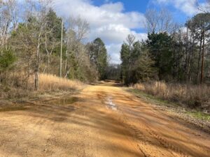 Property photo for land for sale in Copiah County Mississippi