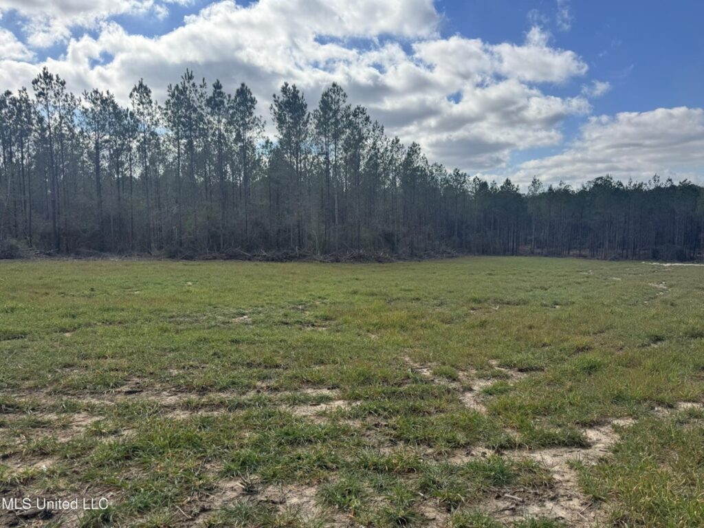 Property photo for land for sale in Amite County Mississippi