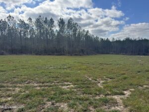 Property photo for land for sale in Amite County Mississippi